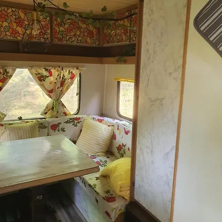 Koppany Pines Rewild Escapes - Vintage Caravan Koppanyszanto