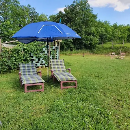 Koppány Pines - Glampavan * Koppányszántó